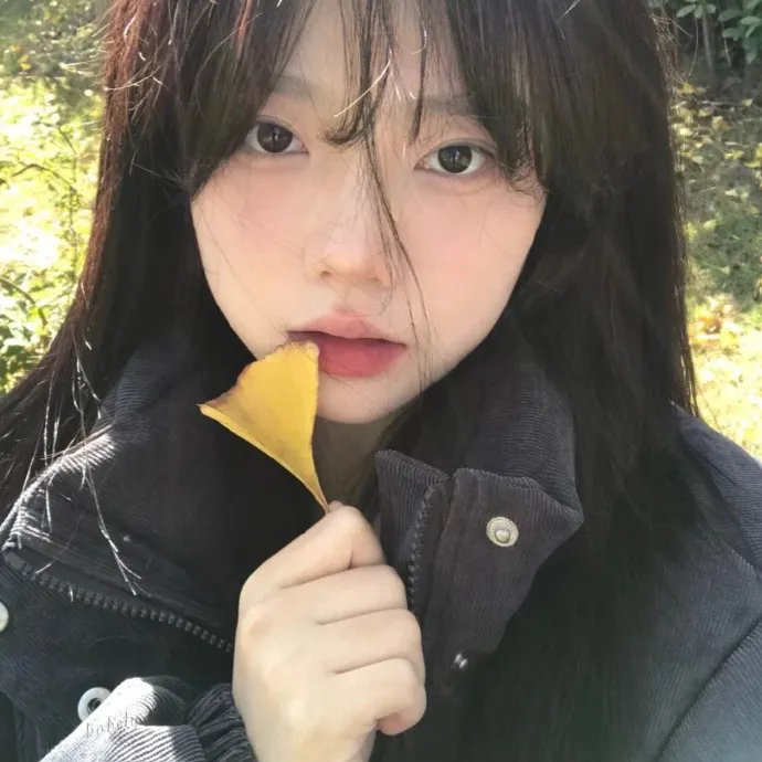 赛马娘巅峰之路